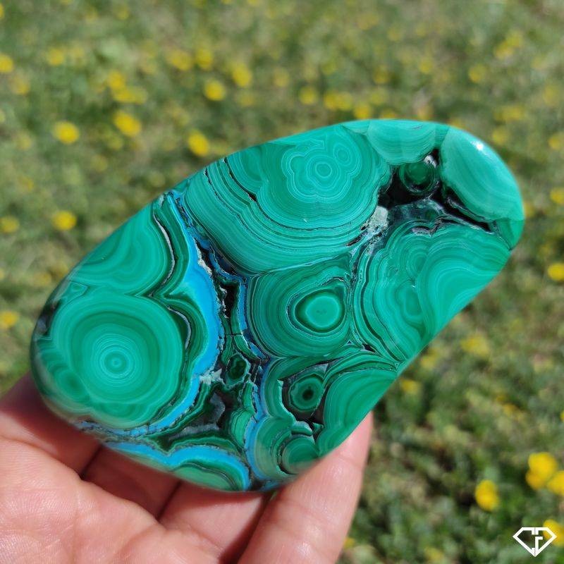 Malachite Et Chrysocolle Polie Pierre De Collection Du Congo