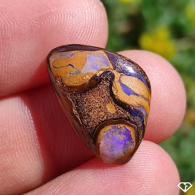 Natural Boulder Opal - Collector's Stone from Australia