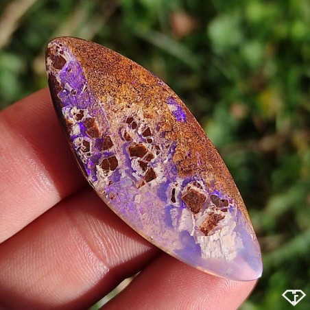 Opale Boulder naturelle (Pipe Crystal Opal) en provenance d'Australie