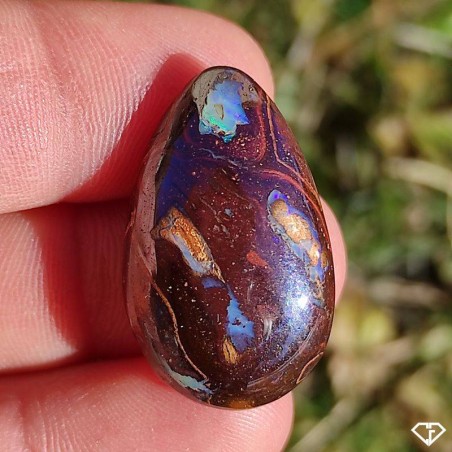 Opale Boulder (Koroit) naturelle en provenance d'Australie