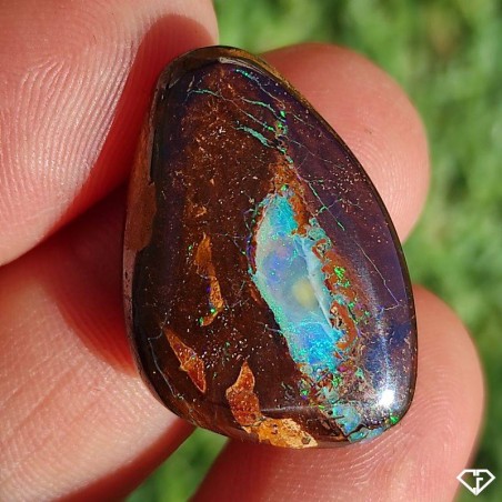 Opale Boulder (Koroit) natural from Australia