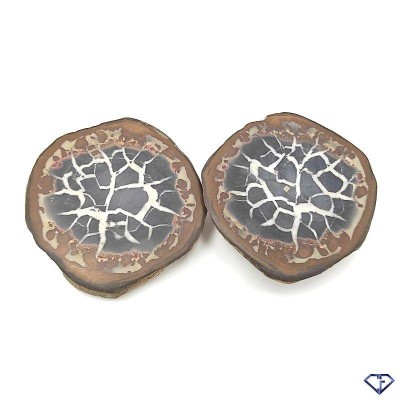 Nodule de Septaria (paire) - Pierres de collection du Maroc