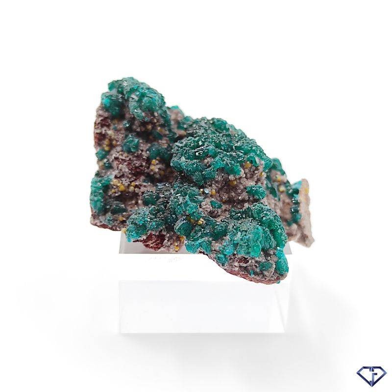 Dioptase Brute Naturelle Pierre De Collection Du Congo