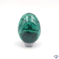 Egg of Malachite - Collection Stone of the Congo