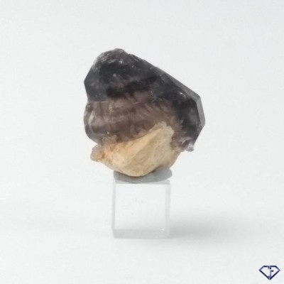 Smoky Quartz - Collector's stone from Australia