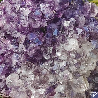 Amethyst Druse - Collection Stone from Brazil