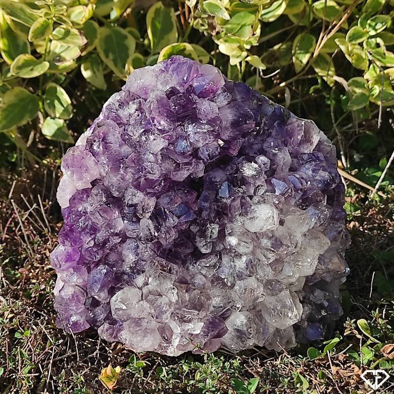 Amethyst Druse - Collection Stone from Brazil