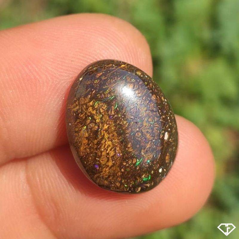 Natural Boulder Opal - Queensland, Australia