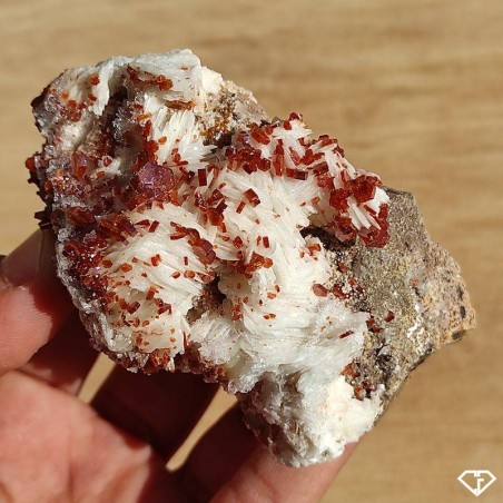 Vanadinite on Baryte - Collection Stone from Morocco