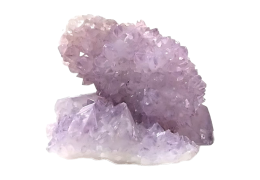 The Amethyst Cactus in lithotherapy (description and properties)